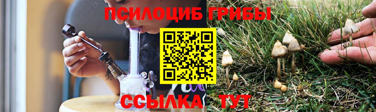 Галлюциногенные грибы Psilocybine cubensis  Вход с VPN  Клин 